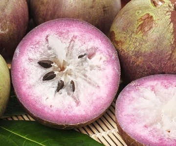 Voor nieuwsgierige fijnproevers: begeleide proeverij van exotisch fruit in Panama