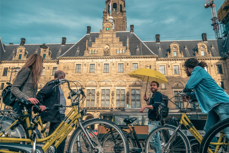 Rotterdam: Classic Highlight Bicycle Tour by Local