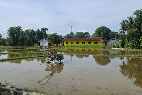 Bukit Lawang: Jungle Trek, River Tubing, and Village Tour