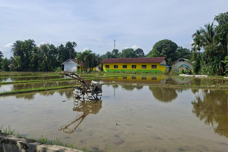 Bukit Lawang: Jungle Trek, River Tubing, and Village Tour