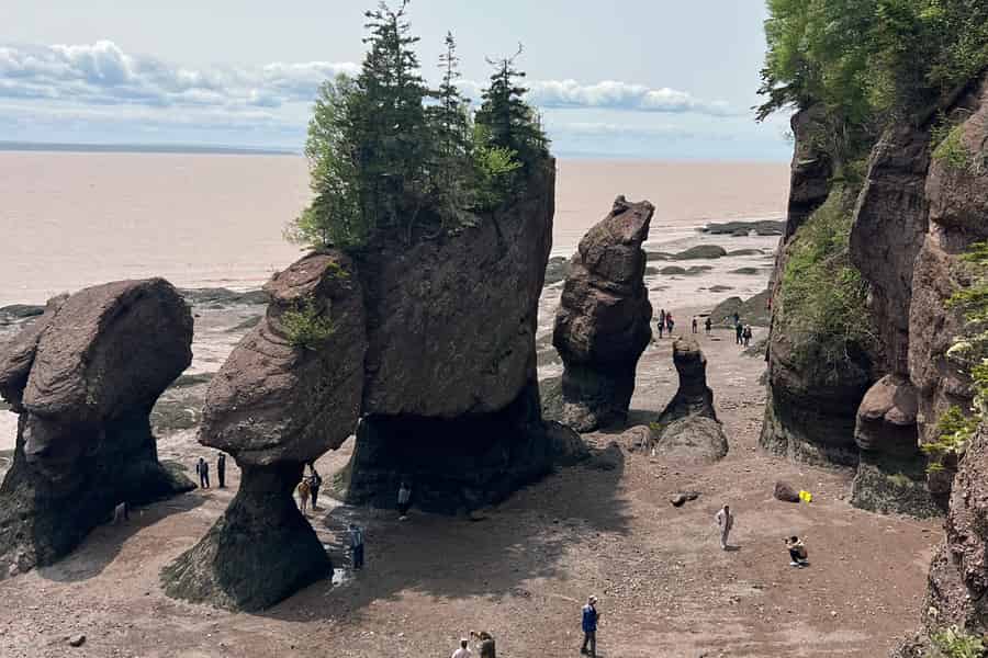 Hopewell Rocks und Fundy National Park Private Tour. Foto: GetYourGuide