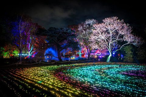 Leipzig: Ingresso para o Jardim de Natal