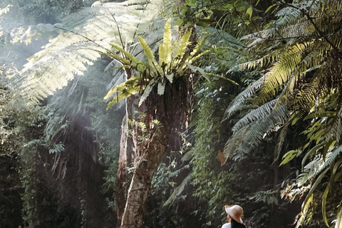 Ubud 3 Hidden Waterfalls & Tegalalang Rice Terrace Tour