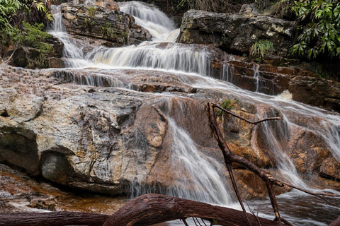 Kedah: Magnificent Jerai Multi Waterfalls Hunt & Jungle Trek Hippo: Challenging Canyon Loop (8km | 10 falls)