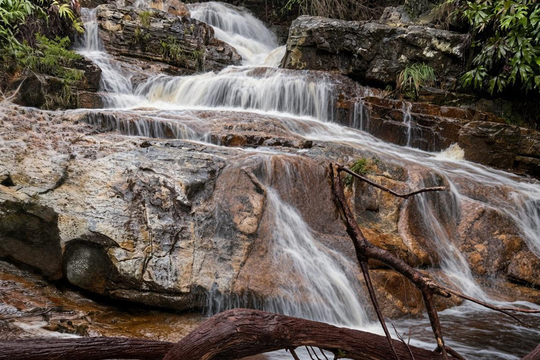 Kedah: Magnificent Jerai Multi Waterfalls Hunt & Jungle Trek Hippo: Challenging Canyon Loop (8km | 10 falls)