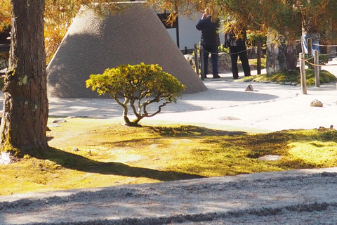 E-Bike Tour in Kyoto with Asuka, Japanese graduate student