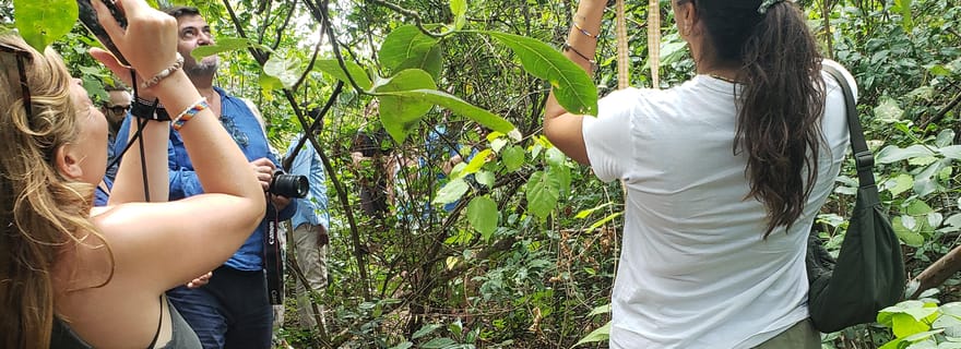 Zanzibar : excursion d'une journée à la forêt de Jozani, à la ferme d'épices et à la grotte de Salaam