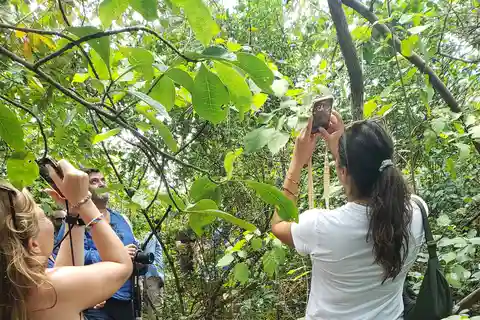 ZANZIBAR: Floresta de Jozani, tartarugas marinhas e excursão a uma quinta de especiarias