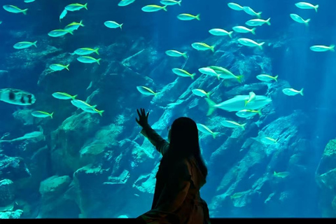 Fukuoka: Marine World Ticket & Digital Itinerary Plan