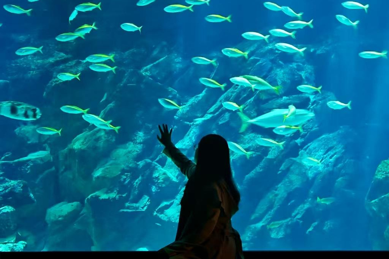Fukuoka: Marine World Ticket & Digital Itinerary Plan