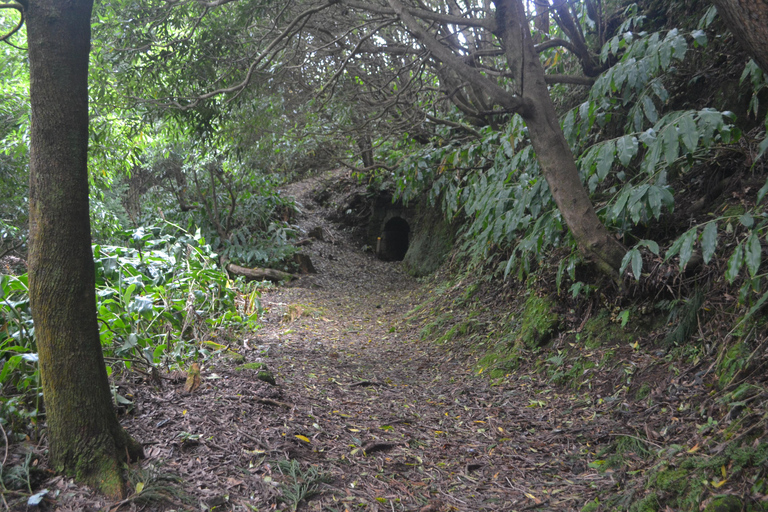 Sao Miguel Hike to Janela do Inferno and Lagoa do Fogo