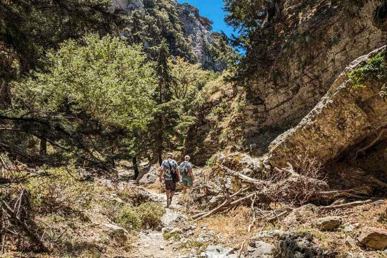 From Heraklion: Imbros Gorge and Libyan Sea Guided Day Trip Pickup from Heraklion and Ammoudara