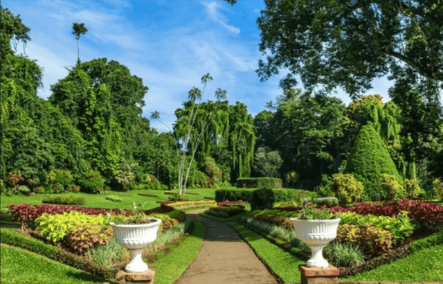 From Colombo: Kandy and Tea Plantations Day Trip