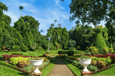 Desde Colombo: Excursión de un día a Kandy y las plantaciones de té