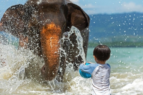 Prywatna plaża z kąpieliskiem i opieką nad słoniami