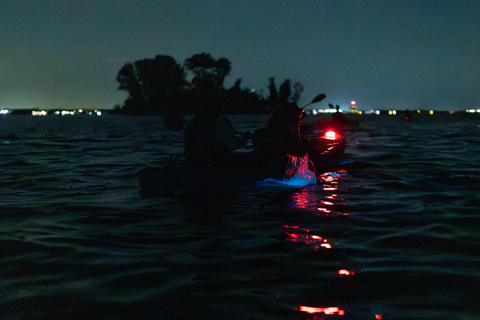 Cocoa Beach/Merritt Island:Bioluminescent kayak tour Single Kayak