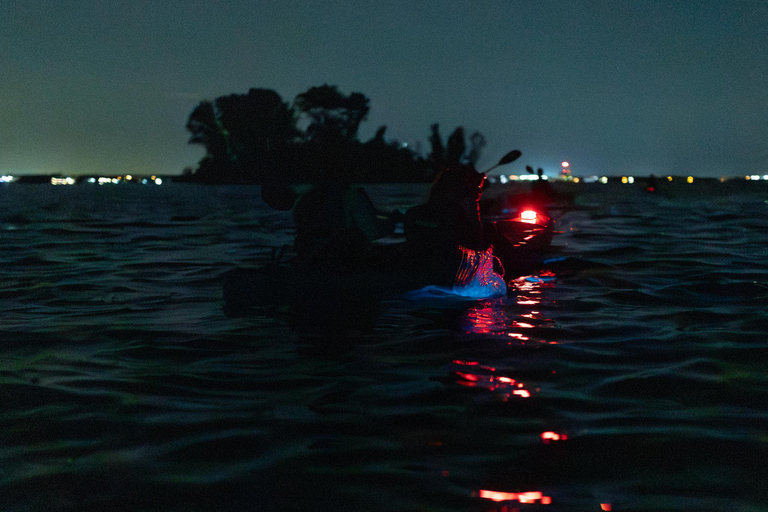 Cocoa Beach/Merritt Island:Bioluminescent kayak tour Single Kayak