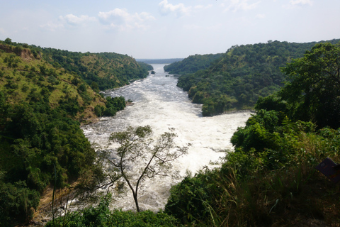 恩德培/坎帕拉：默奇森瀑布和齐瓦犀牛两日游