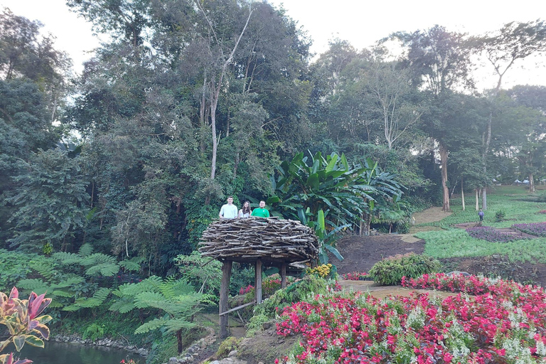 Chiang Rai: Mountains Discovery Doi Mae Salong & Doi Tung Mountains Discovery:Doi Mae Salong & Doi Tung (Private Tour)