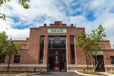 Dublin: Roe and Co Distillery Cocktail Workshop Erlebnis