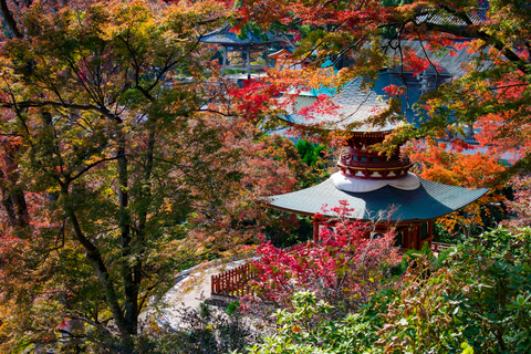 Osaka/Kyoto: Katsuoji & Arashiyama & Kinkakuji Day Tour 9:00 AM Depart from Kyoto