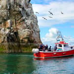 Dublino: Tour in barca della costa di Howth