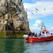 Dublin: Howth Coastal Boat Tour