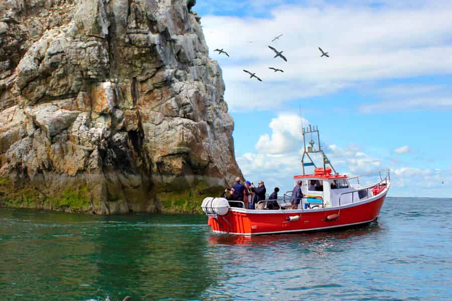 Dublin: Howth Coastal Boat Tour. Foto: GetYourGuide