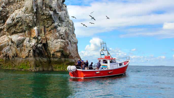Dublin: Howth Coastal Boat Tour