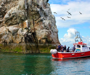 Dublin: Howth Coastal Boat Tour