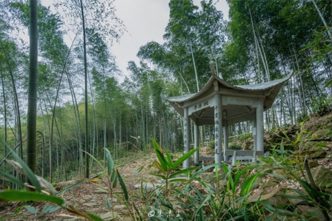 Shanghai: Hangzhou Tofu Ancient Trail Hiking by Train