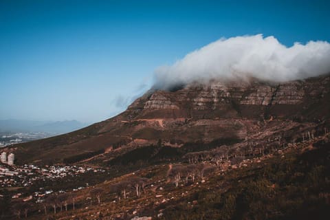 Cape Town: Table Mountain, Cape Point, Penguins Group Tour