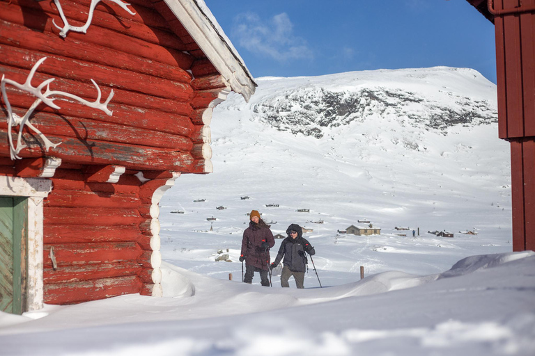 Utforska Jotunheimen med snöbuss och snöskor