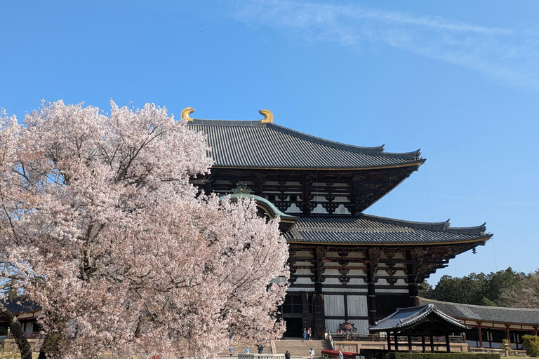 Nara: Private Buddhist Temple Tour with Deer Park Visit