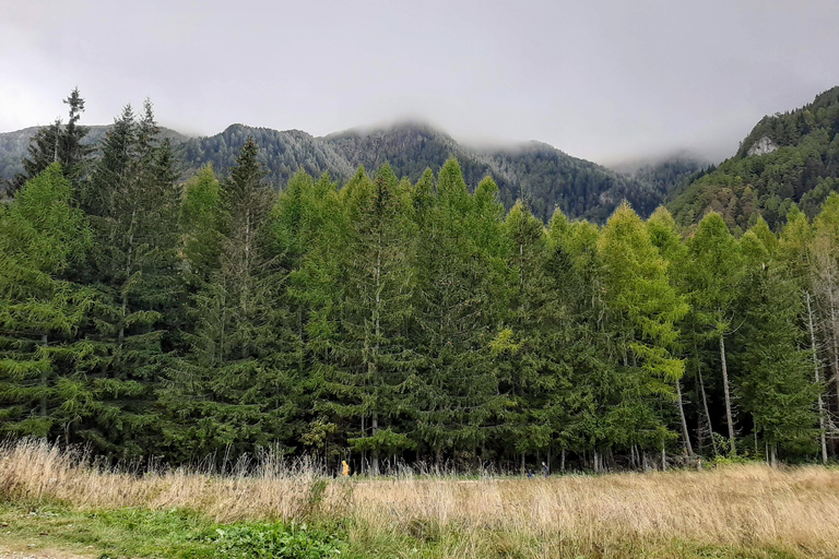 Sinaia Hike With Happy