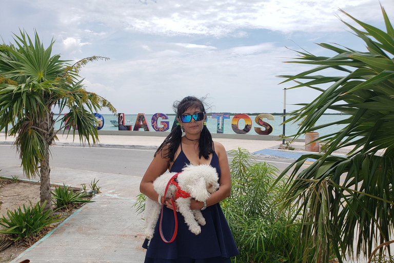 Wycieczka do Ría Lagartos, Coloradas i Playa CancúnitoMerida: Wycieczka na plażę Ria Lagartos, Coloradas i Cancunito