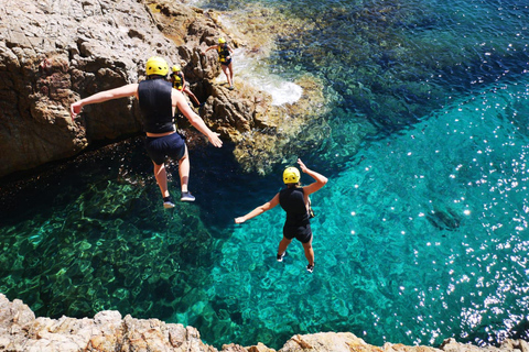 Cagliari: Half-Day Coasteering Experience