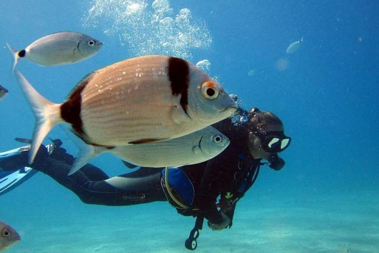 Fethiye: Fly and Dive, Paragliding and Scuba Diving Together, Transfer Included