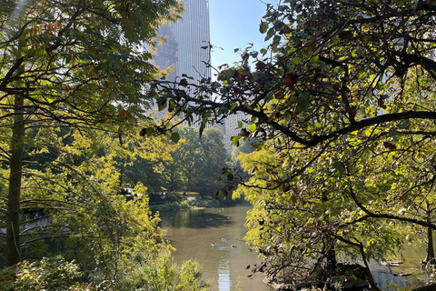 NYC Central Park Pedicab Tours Express Tour