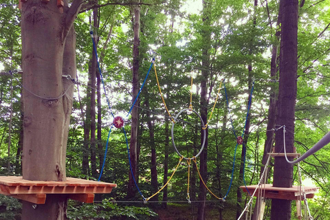 Kletterwald Sögel High Ropes Park Entry Ticket 3 Hours - Kletterwald Sögel High Ropes Park Entry Ticket