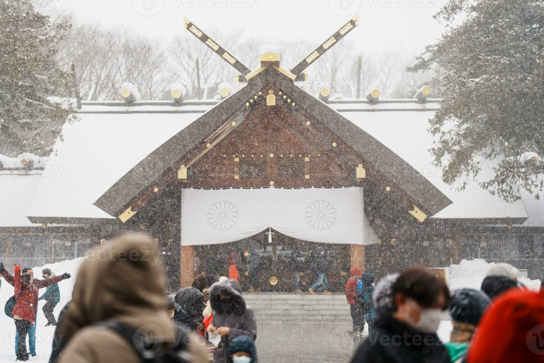 Sapporo: Private Customized Day Tour in Sappro City Private Customized Tour in Sapporo City