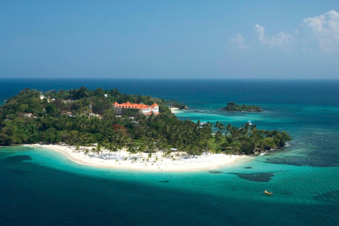 Samaná Whale Wonders: A Majestic Marine Adventure