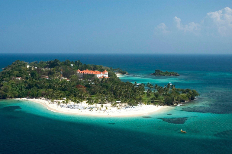 Samaná Whale Wonders: A Majestic Marine Adventure