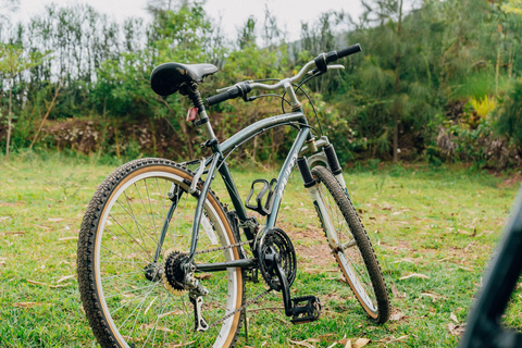 Bike tour and senic view