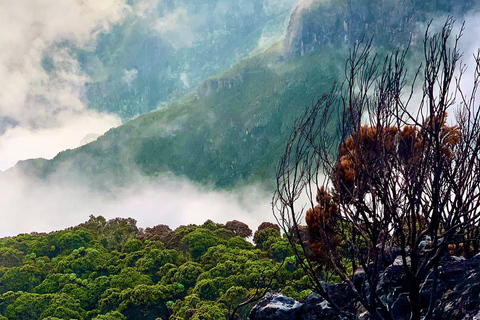 Arusha: Safari a piedi nel Parco Nazionale di Arusha