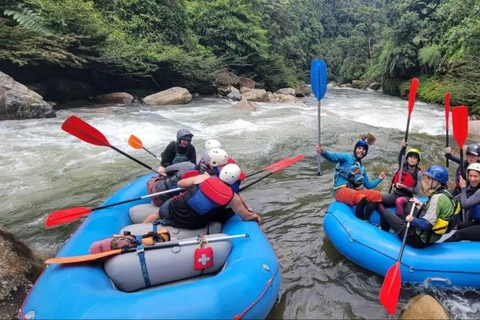 Tena: Heldagsrafting i floderna Jondachi och Hollín