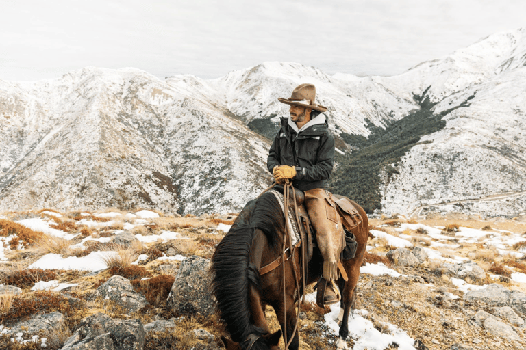 Hanmer Springs: Epic Half-Day Horseback Trekking in St James