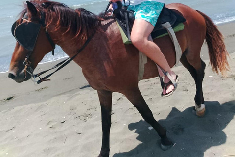 Puerto Plata: Triple Adventure on ATV, Horseback, City Tour