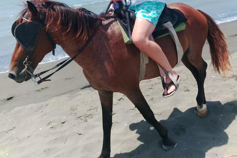 Puerto Plata: Triple Adventure on ATV, Horseback, City Tour