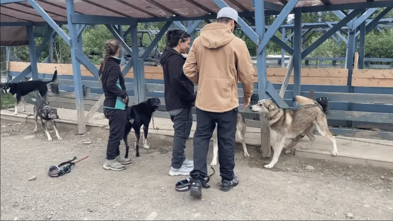Skagway: Abenteuer im Yukon-Dog-Musher-Camp